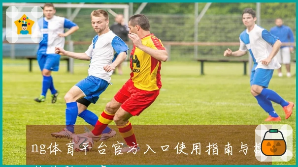 ng体育平台官方入口使用指南与操作体验分享