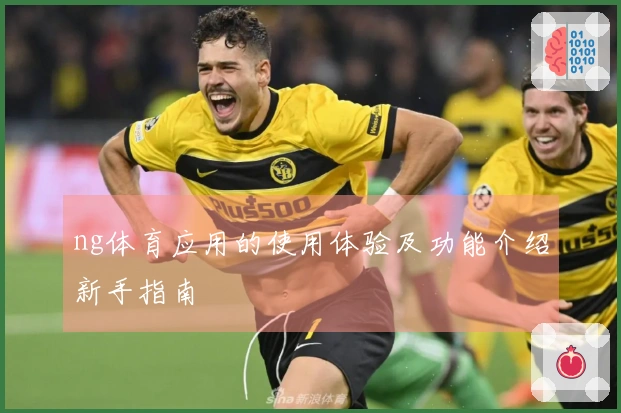ng体育应用的使用体验及功能介绍新手指南