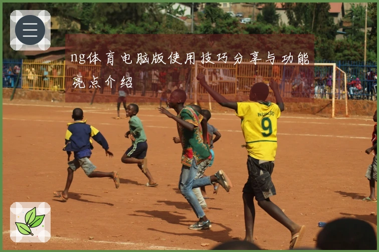 ng体育电脑版使用技巧分享与功能亮点介绍