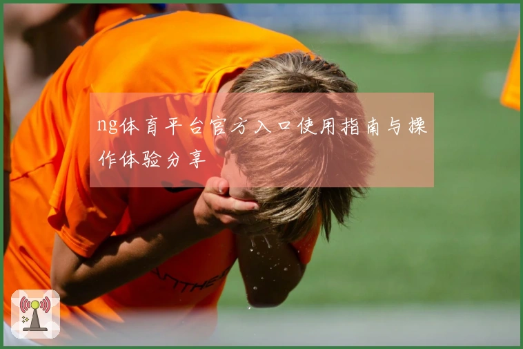 ng体育平台官方入口使用指南与操作体验分享