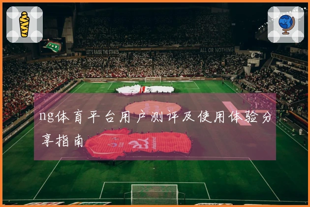 ng体育平台用户测评及使用体验分享指南