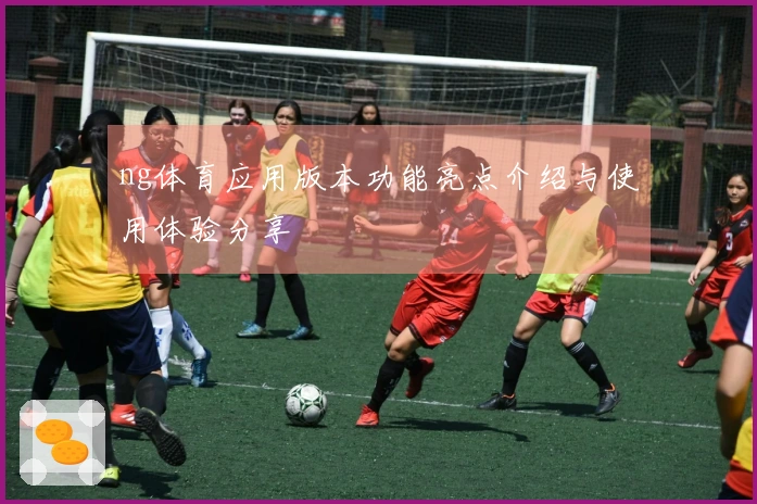 ng体育应用版本功能亮点介绍与使用体验分享