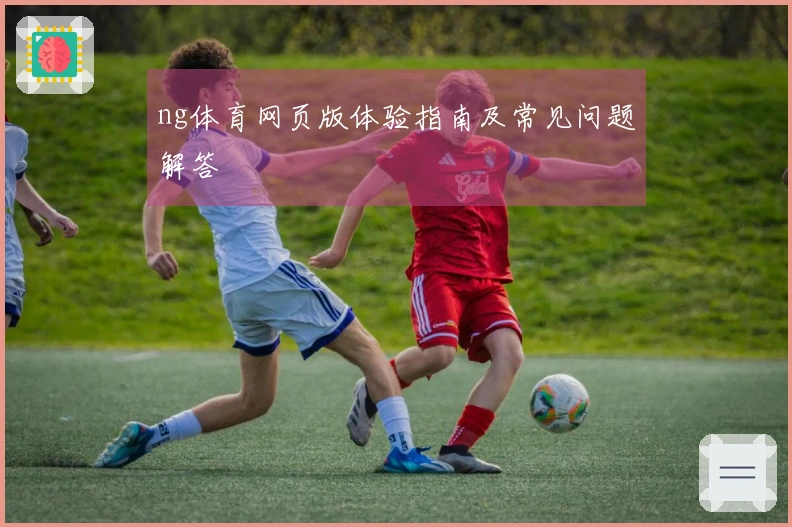 ng体育网页版体验指南及常见问题解答