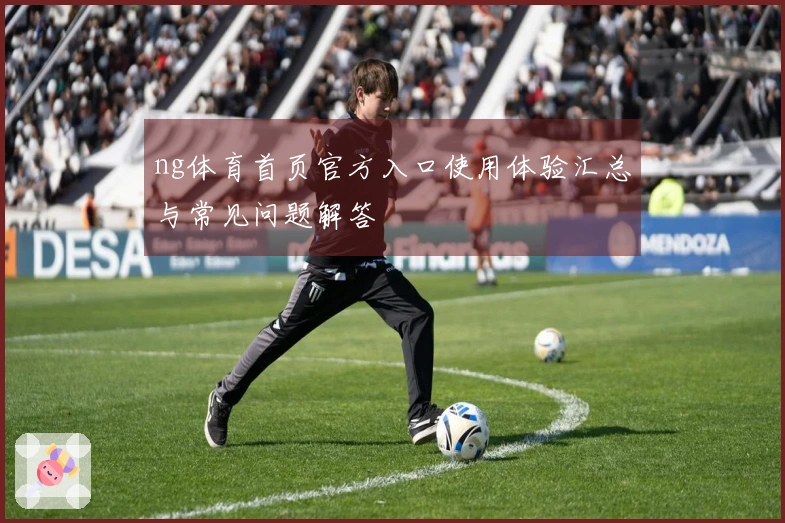ng体育首页官方入口使用体验汇总与常见问题解答