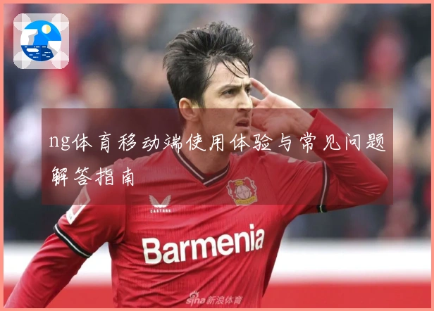 ng体育移动端使用体验与常见问题解答指南