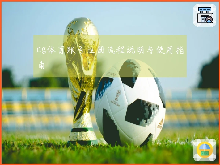 ng体育账号注册流程说明与使用指南