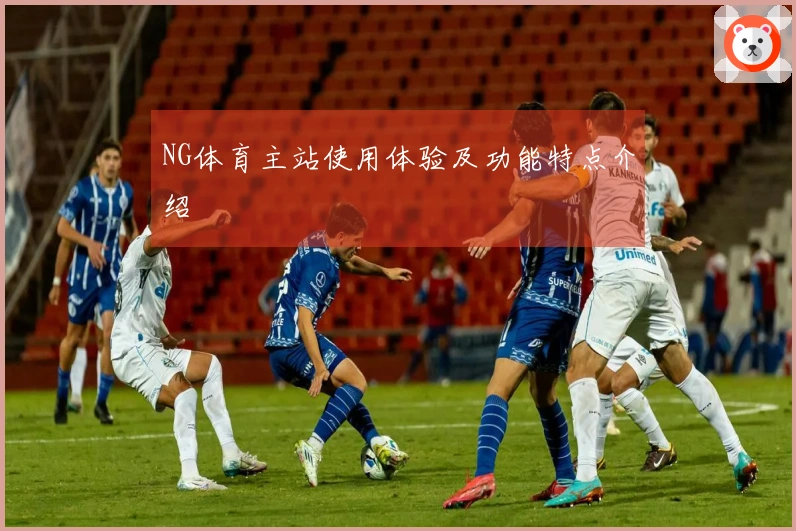 NG体育主站使用体验及功能特点介绍
