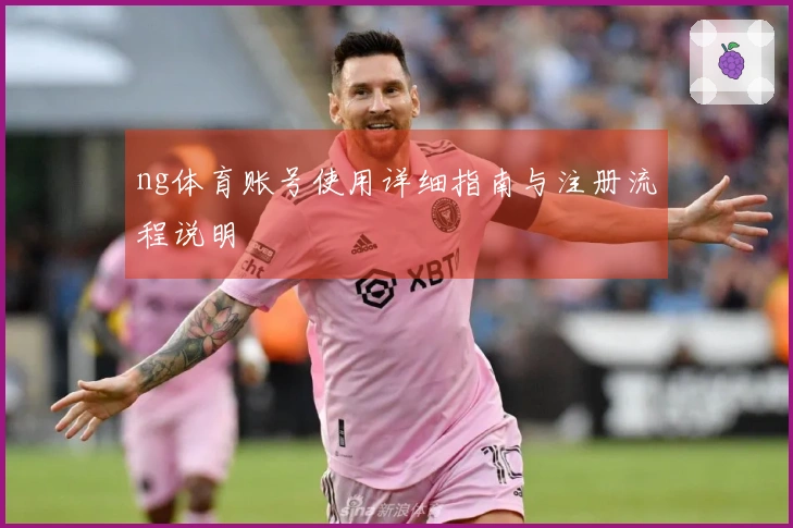 ng体育账号使用详细指南与注册流程说明