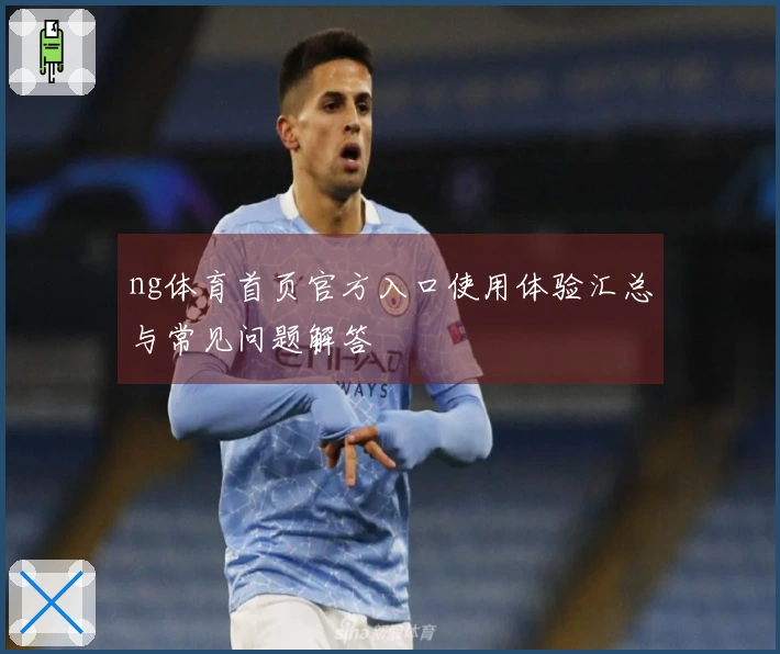 ng体育首页官方入口使用体验汇总与常见问题解答